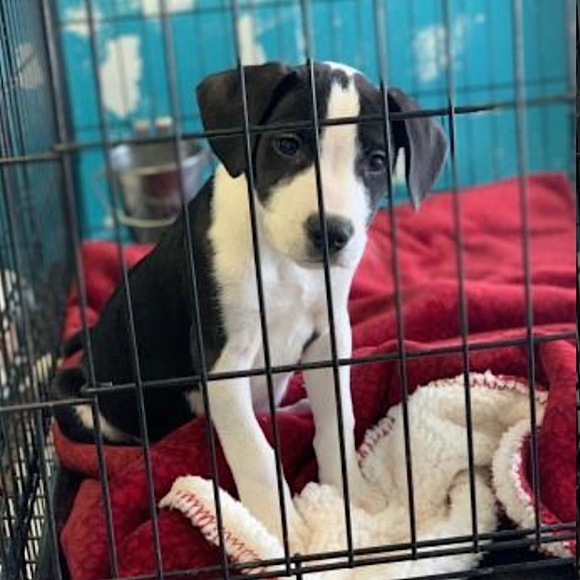 Posh Ambassador for Jane Iredale 🥰 - Picture 2 of 16